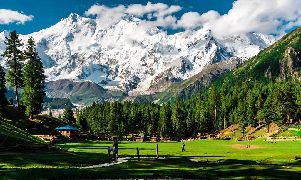 Nanga Parbat Base Camp Trek - Apricot Tours Pakistan