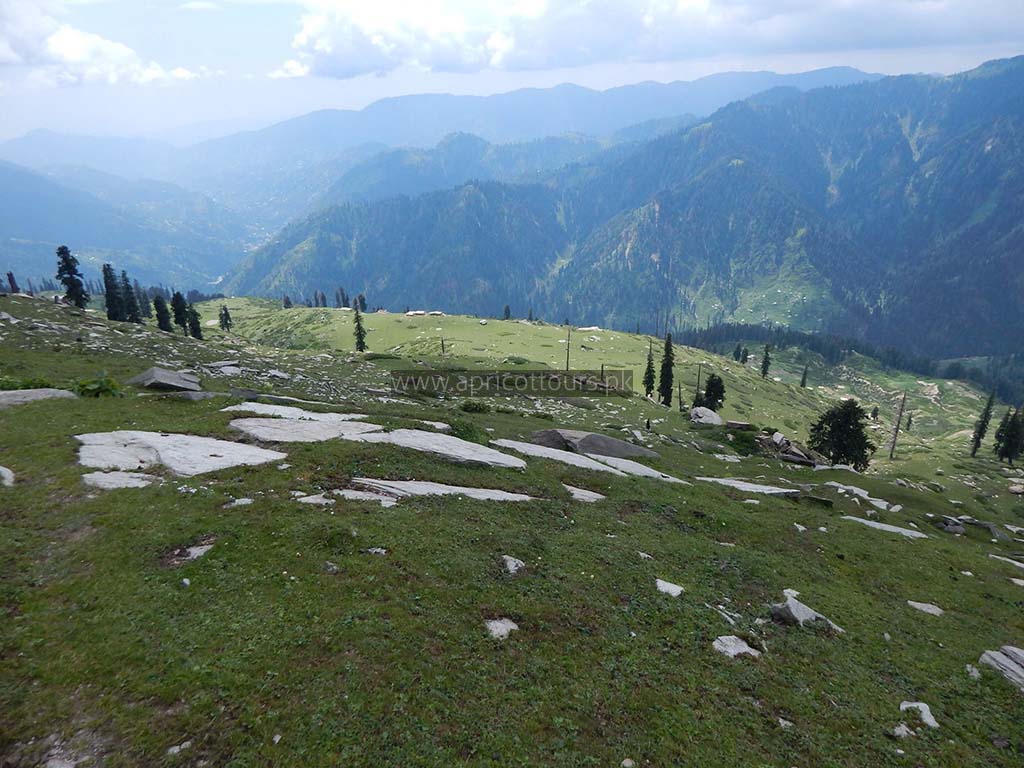 Musa Ka Musalla Hiking (5 Days) - Apricot Tours Pakistan