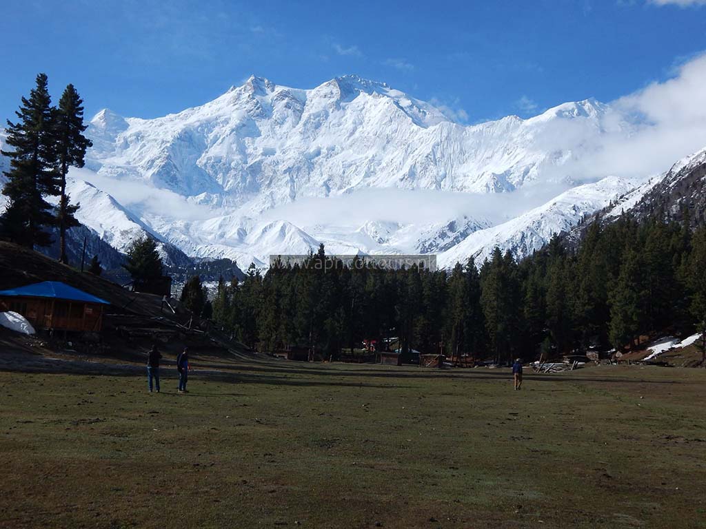 Nanga Parbat Base Camp Trek Apricot Tours Pakistan