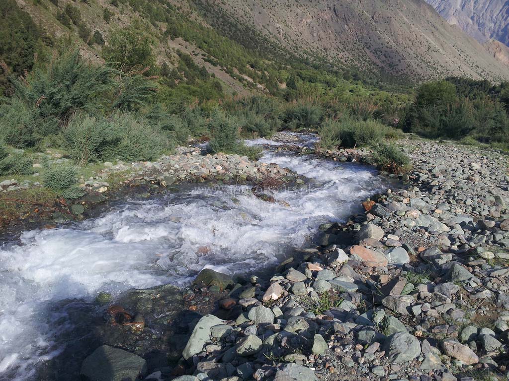 Rakaposhi Base Camp Trek | 2024-25 - Book Now | ApricotTours