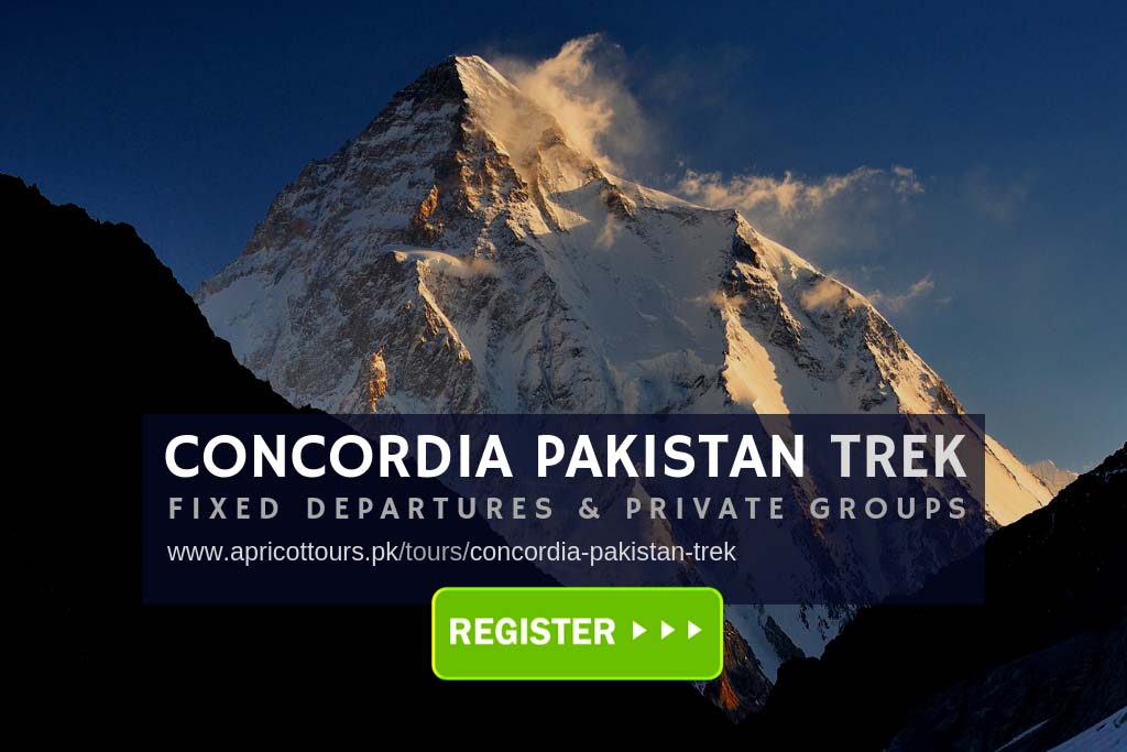 concordia pakistan