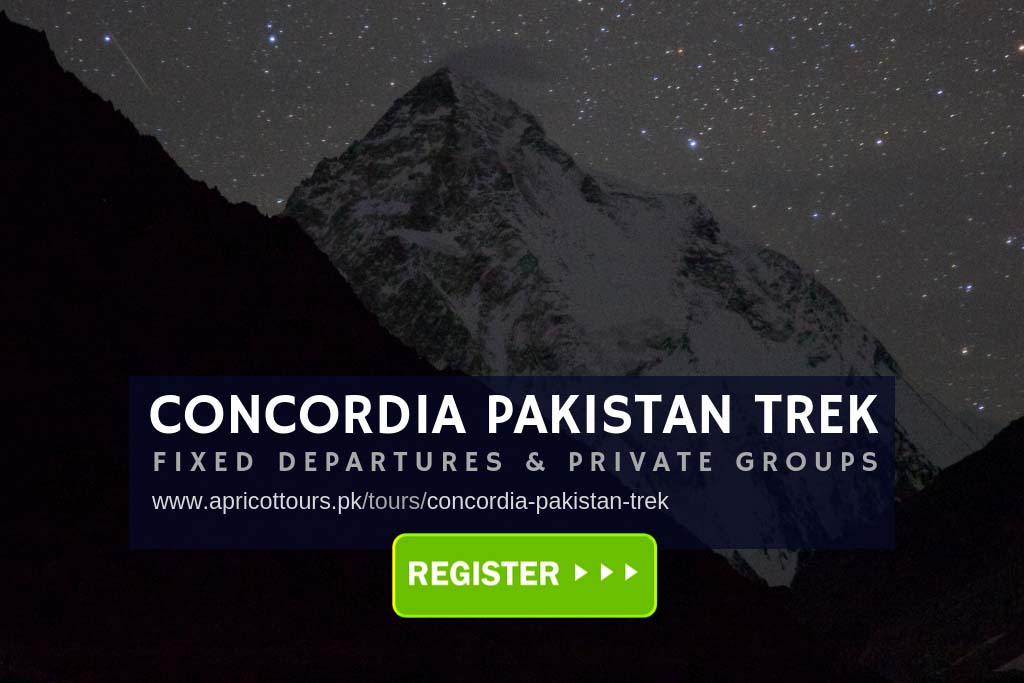 concordia pakistan trek