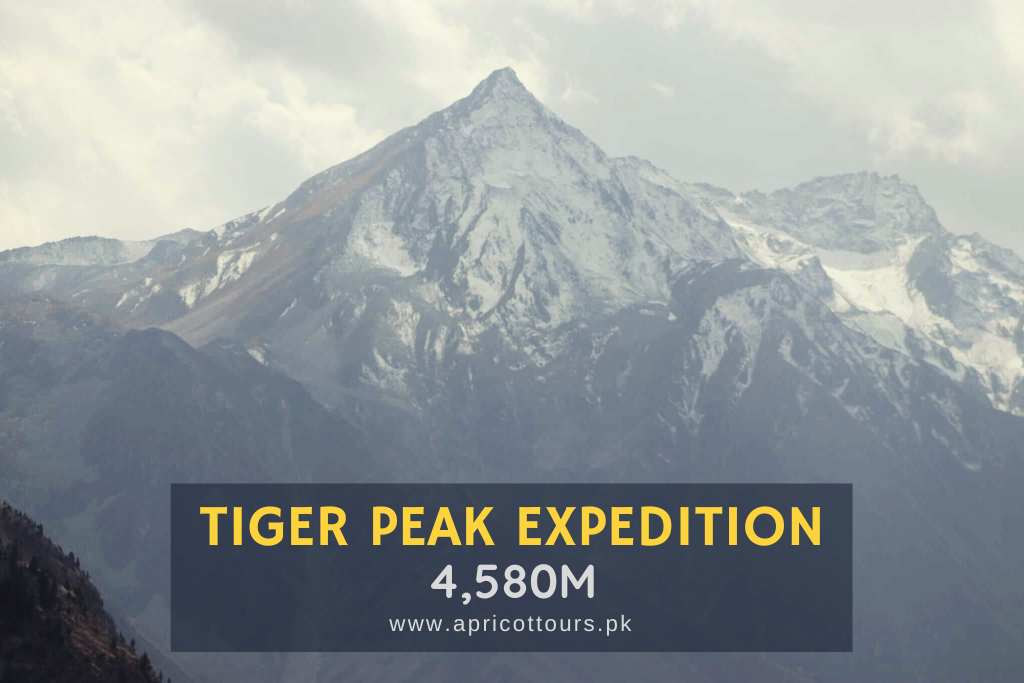 Tiger Peak Expedition - Apricot Tours Pakistan