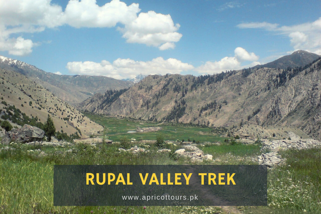 Rupal Valley Trek