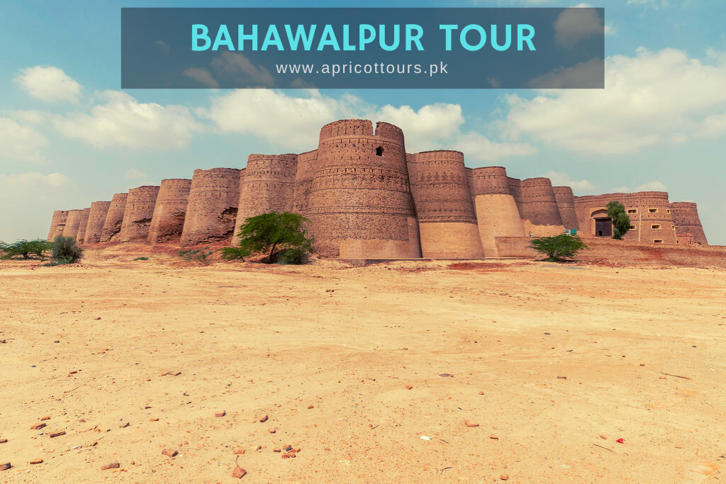 Bahawalpur Tour - Apricot Tours Pakistan