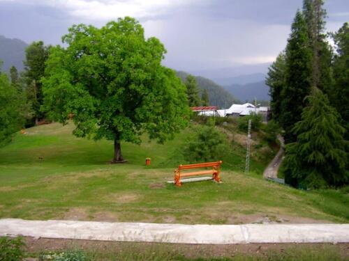 full-day private murree nathiagali tour