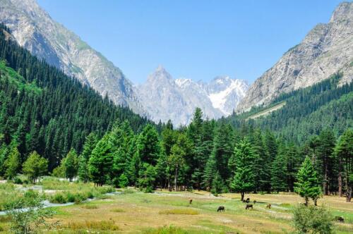 kumrat valley tour