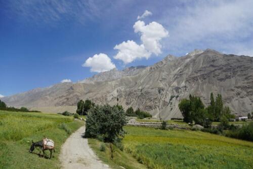 pamir highway trip