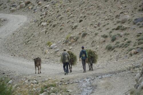 tajikistan circular tour