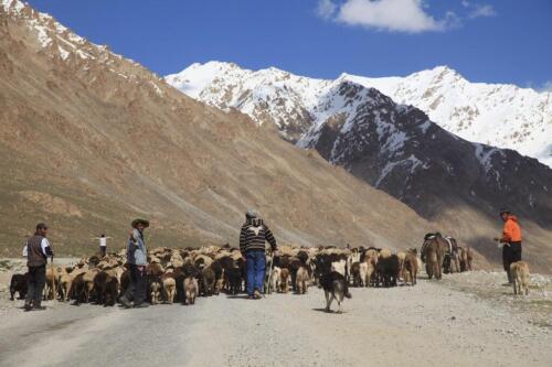 pamir highway tour