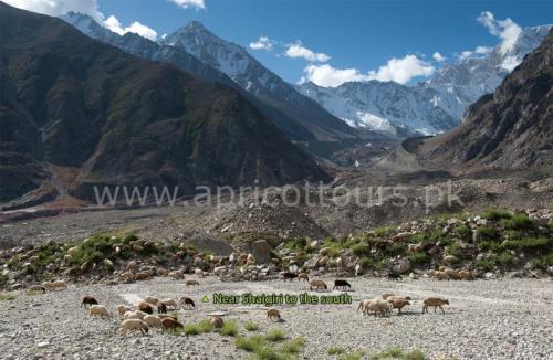 Around Nanga Parbat Trek - Mazeno La Trek