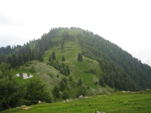 Ayubia  Nathia Gali Tour