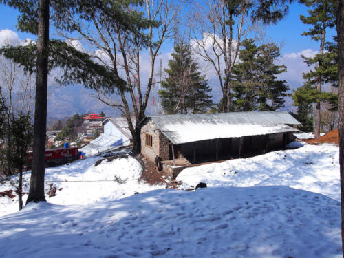 Ayubia  Nathia Gali Tour