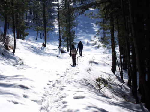 Ayubia  Nathia Gali Tour