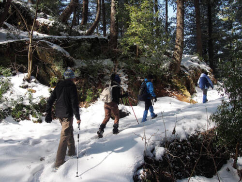 Ayubia  Nathia Gali Tour