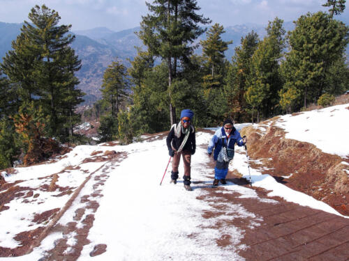 Ayubia  Nathia Gali Tour