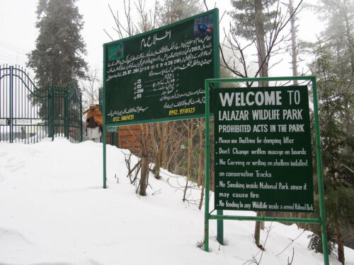 Ayubia  Nathia Gali Tour