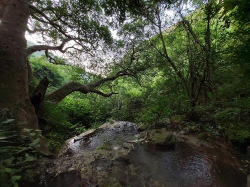 Margalla Hills Trail 5 Hiking Tour