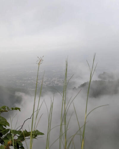 Margalla Hills Trail 5 Hiking Tour