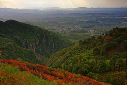 Margalla Hills Trail 5 Hiking Tour